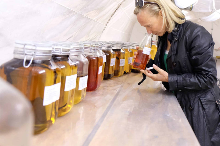 Lenz Essig & Balsamico