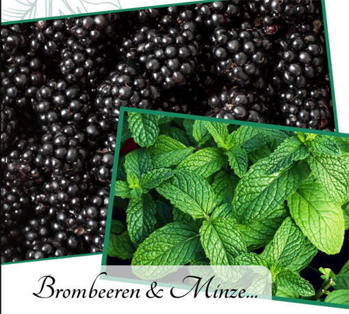 Brombeer-Minze Balsam Lenz