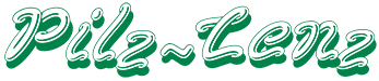 Pilz-Lenz