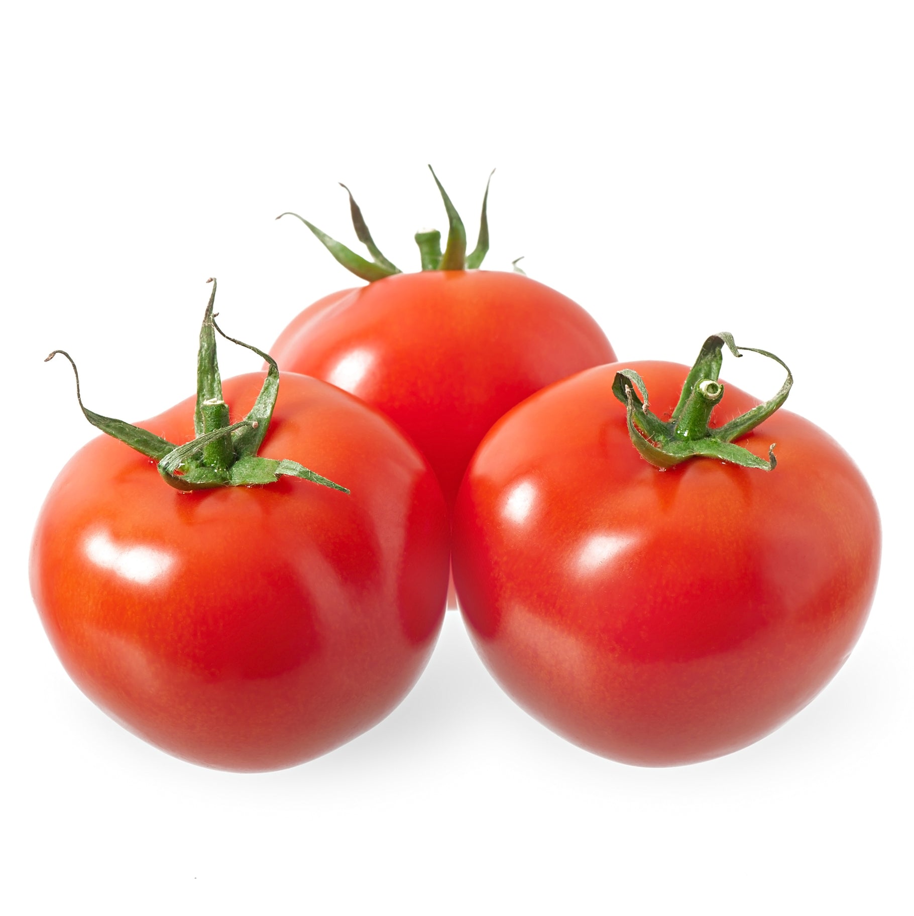 Tomatenessig Lenz Linie
