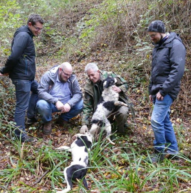 Schwarzer Wintertrüffel - Perigord