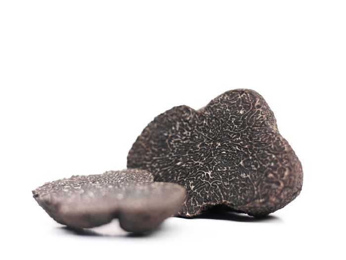 Schwarzer Wintertrüffel - Perigord