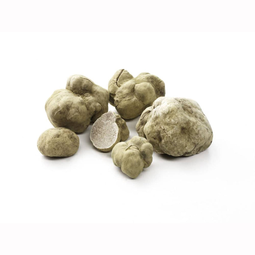 Weiße Trüffel - magnatum pico
